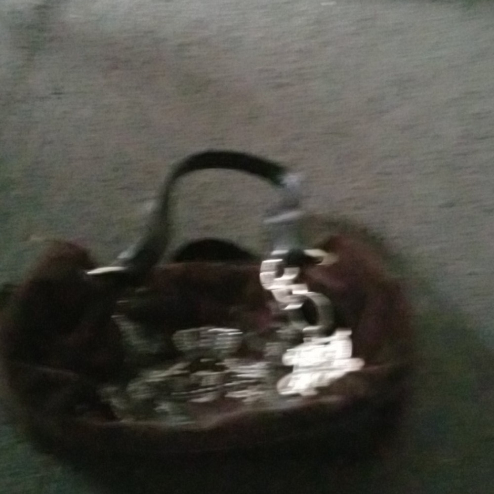 Juicy couture pocket book